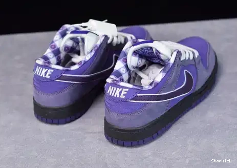 Concepts Purple SB Nike Low Lobster Dunk BV1310-555 0707